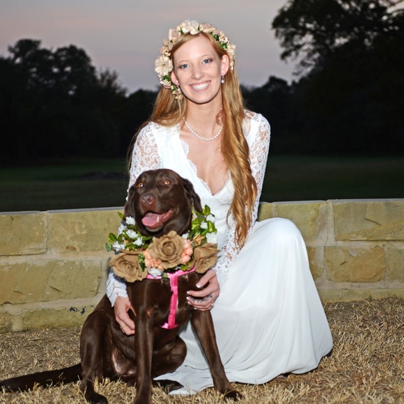 Meet your Posher, Lexi - Picture 1 of 1